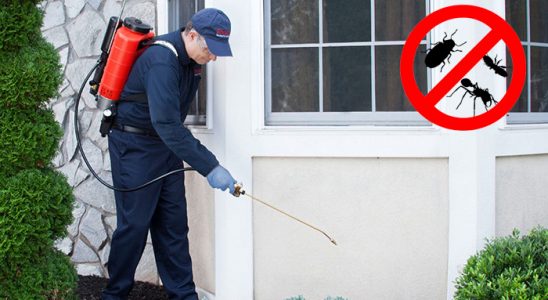 Sungurlu Fare İlaçlama böcek ilaçlama ve haşere kontrolü — ilaclama-tr.com